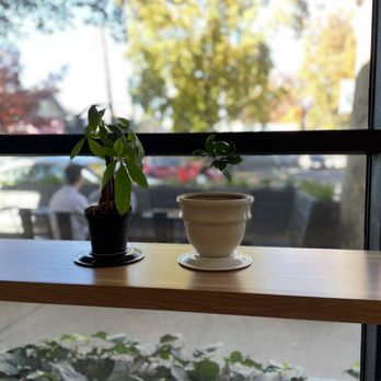 Scorpio Coffee - Coffee & Tea Near Me - Sacramento, California Scorpio Coffee - Coffee & Tea Near Me - Sacramento, California