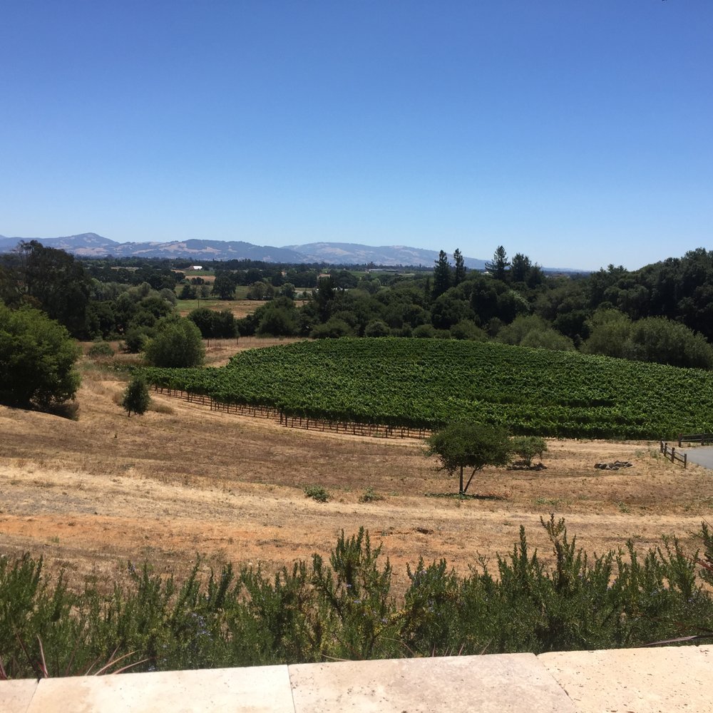 Beautiful wine country. Beautiful wine country.