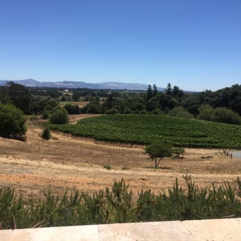 Silver Service - Beautiful wine country. - Wine Tours Near Me