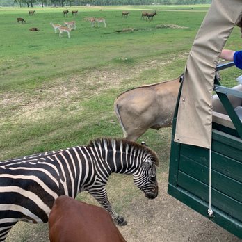 Global Wildlife Center - Do Not Feed the  Zebras - Zoos Near Me - Folsom, Louisiana
