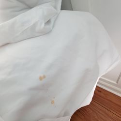 Saratoga Inn - Dirty sheet