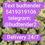 Sea Change Cannabis