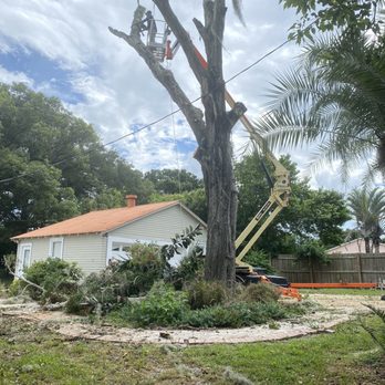 Jaybeezs Tree Services - #jaybeezs hard at work removing an old dead oak tree. - Tree Services Near Me