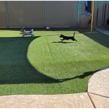 Doggie District - Mesa - Pet Groomers Near Me - Mesa, Arizona