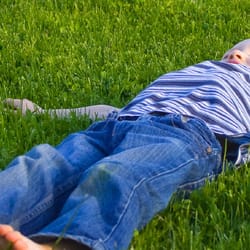GoldenRule Lawn and Landscape - Lawn Care Eastside