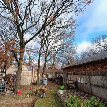 A & L Tree & Contract Climbing - Tree Services Near Me - Bartlesville, Oklahoma A & L Tree & Contract Climbing - Tree Services Near Me - Bartlesville, Oklahoma