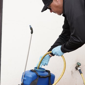 WeedCo - Precision weed treatment prep by WeedCo pros. We mix eco-safe solutions for targeted weed elimination. Book your free estimate at weedcoaz.c - Landscaping Near Me - Tucson, Arizona WeedCo - Precision weed treatment prep by WeedCo pros. We mix eco-safe solutions for targeted weed elimination. Book your free estimate at weedcoaz.c - Landscaping Near Me - Tucson, Arizona