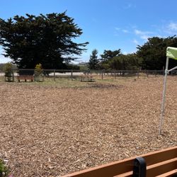 Norma Rose Dog Park