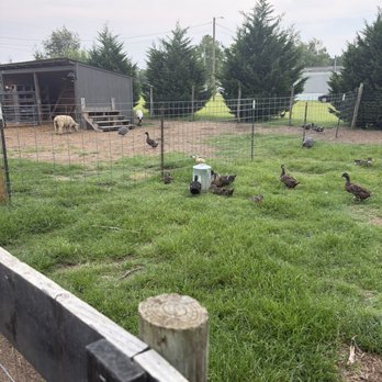 Outside Inn Campground - Attraction Farms Near Me - Santee, South Carolina