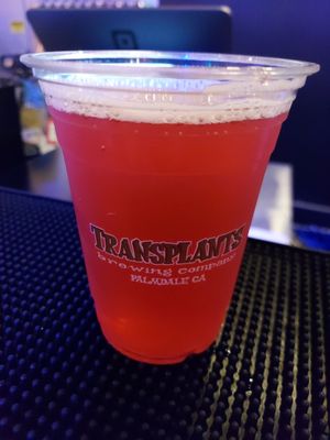 Transplants Brewing Company by null