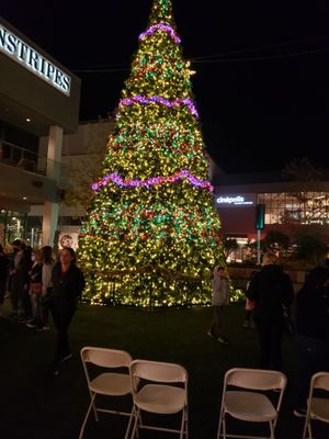 Hillsdale Shopping Center by null