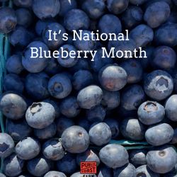 Public Coast Farm - July is National Blueberry Month