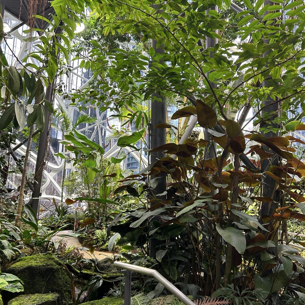 Amazon Spheres - Botanical Gardens Near Me - Seattle, Washington