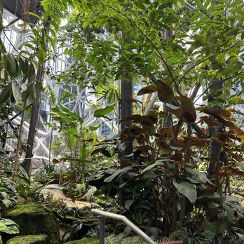 Amazon Spheres - Botanical Gardens Near Me - Seattle, Washington Amazon Spheres - Botanical Gardens Near Me - Seattle, Washington