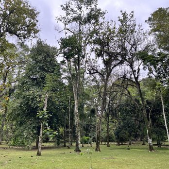Jardim Botânico - Botanical Gardens Near Me - Rio de Janeiro, RJ