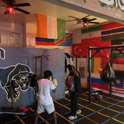 International Boxing Institute - Training