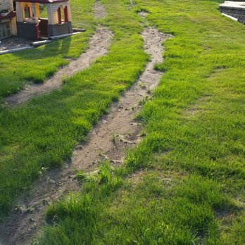 Thayer Nursery - Just threw very fine dirt over their tire marks, no seed - Nurseries & Gardening Near Me - Milton, Massachusetts