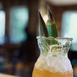 Northside Social Falls Church - Hummingbird