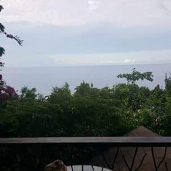 Bohol Bee Farm - View from the room's patio - Massage Near Me - Dao, BOH