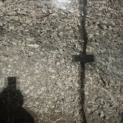 Mound House - The view of the actual shell mound
