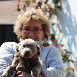 Conny's Hundepension