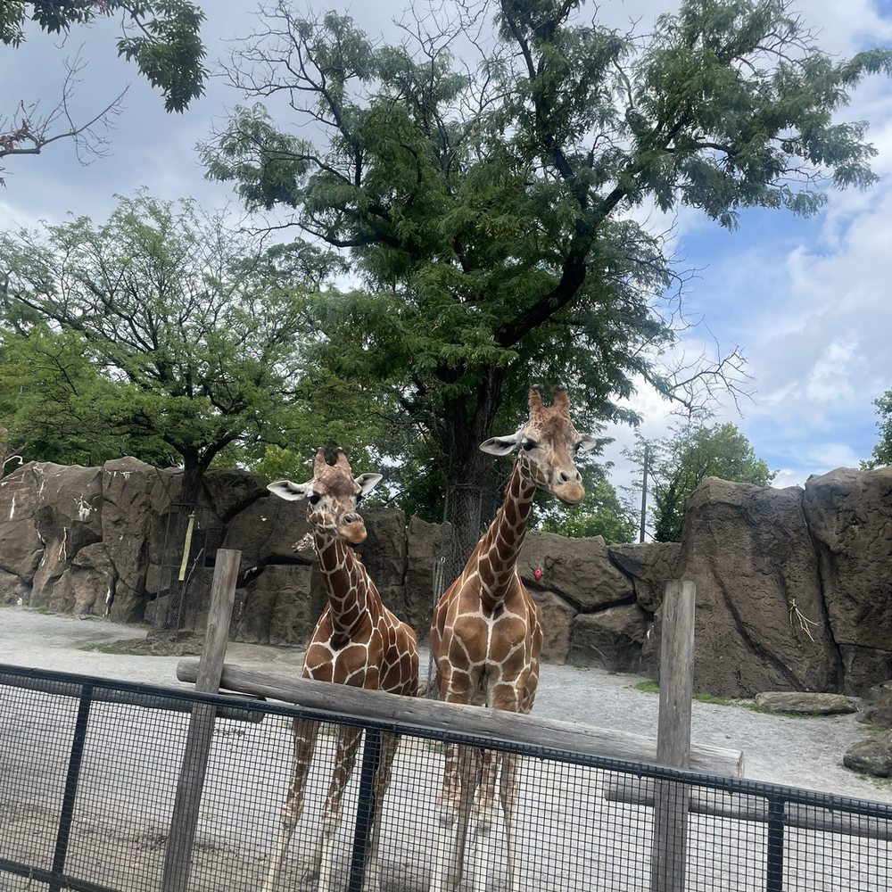 Philadelphia Zoo - Zoos Near Me - Philadelphia, Pennsylvania Philadelphia Zoo - Zoos Near Me - Philadelphia, Pennsylvania