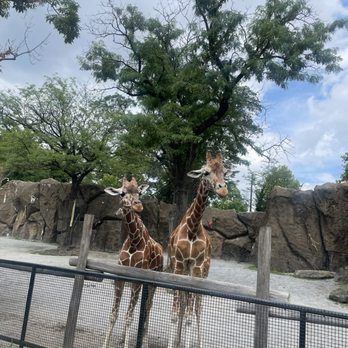 Philadelphia Zoo - Zoos Near Me - Philadelphia, Pennsylvania