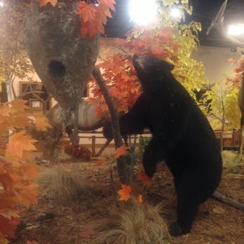 Cabela's - Guns & Ammo Near Me - Richfield, Wisconsin