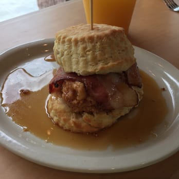 Maple Street Biscuit - Gainesville - Sticky Maple - Breakfast & Brunch Near Me - Gainesville, Florida Maple Street Biscuit - Gainesville - Sticky Maple - Breakfast & Brunch Near Me - Gainesville, Florida