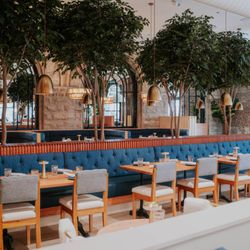 The Finch - The Finch American Grill - greenery, banquettes, open, airy, union station
