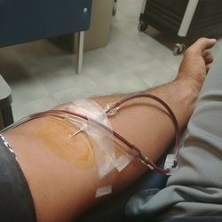 Zlb Plasma - Process