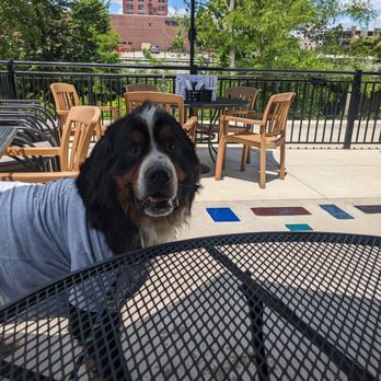 Foxes Trail - Dog friendly patio - Bars Near Me - Kokomo, Indiana