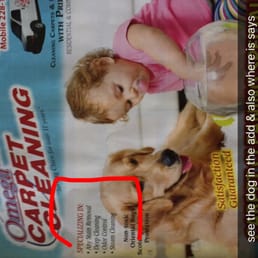 Don't say you specialize in pet stains then come to the house and you obviously don't.