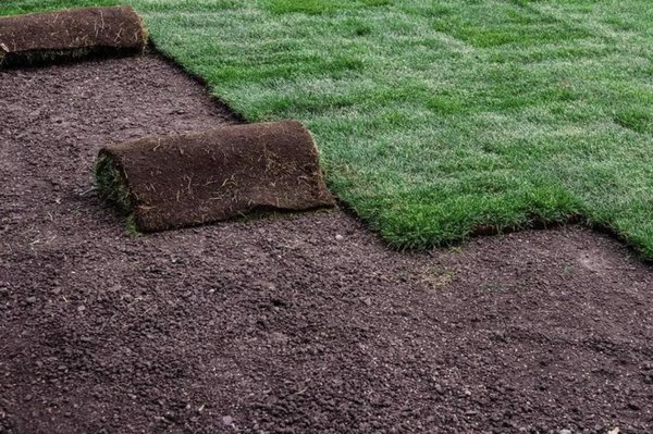 New turf - New turf - call today for a year round care