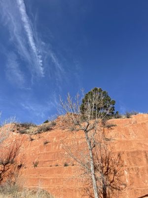 Red Rock Canyon by null