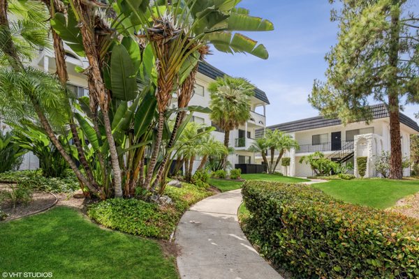 Palmilla Apartments by null