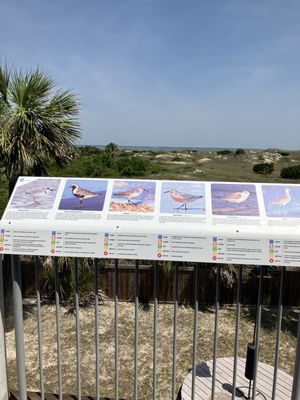 Tybee Island Marine Science Center by null