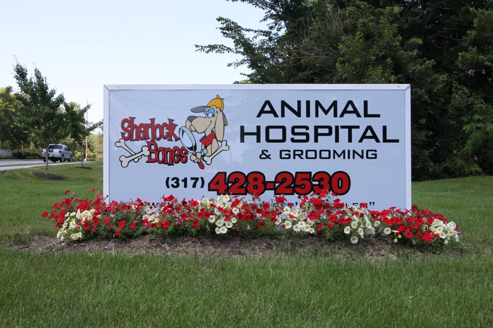 Sherlock Bones Animal Hospital 25 Photos 14 Reviews Pet Groomers 1610 E 116th St Carmel In Phone Number Yelp
