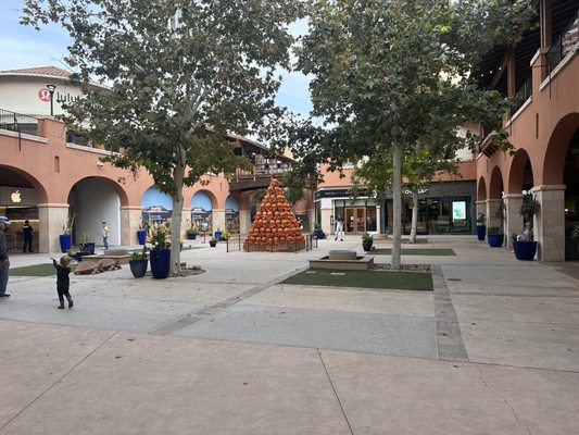 La Encantada by null