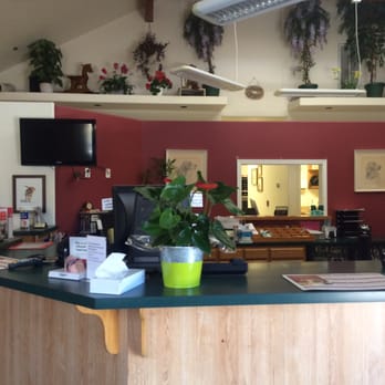 Jackson Creek Veterinary Clinic - The reception area. Beautiful homie feeling to it. - Veterinarians Near Me - Jackson, California Jackson Creek Veterinary Clinic - The reception area. Beautiful homie feeling to it. - Veterinarians Near Me - Jackson, California