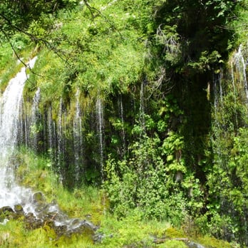 Mossbrae Falls - Access Restricted - Hiking Near Me