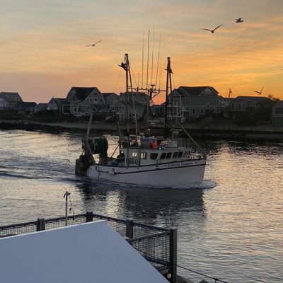 Champlin's Seafood by null