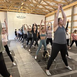 Goat Yoga Nashville