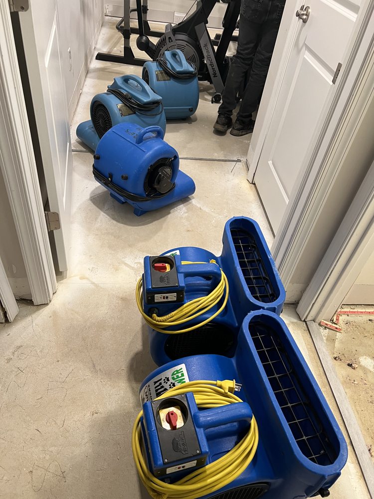 Slide of Scavello Restoration