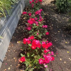 user provided G And M Pet And Garden Center photo