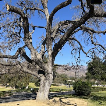 The Oak - American Near Me - Ojai, California The Oak - American Near Me - Ojai, California