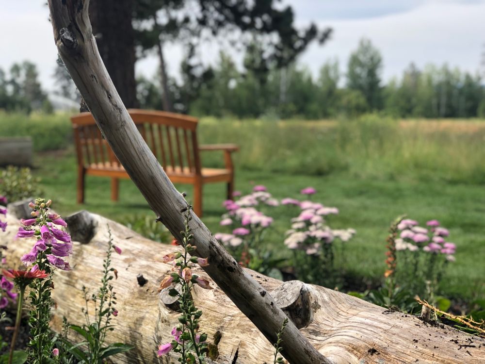 Slide of Blooming Desert Design + Build