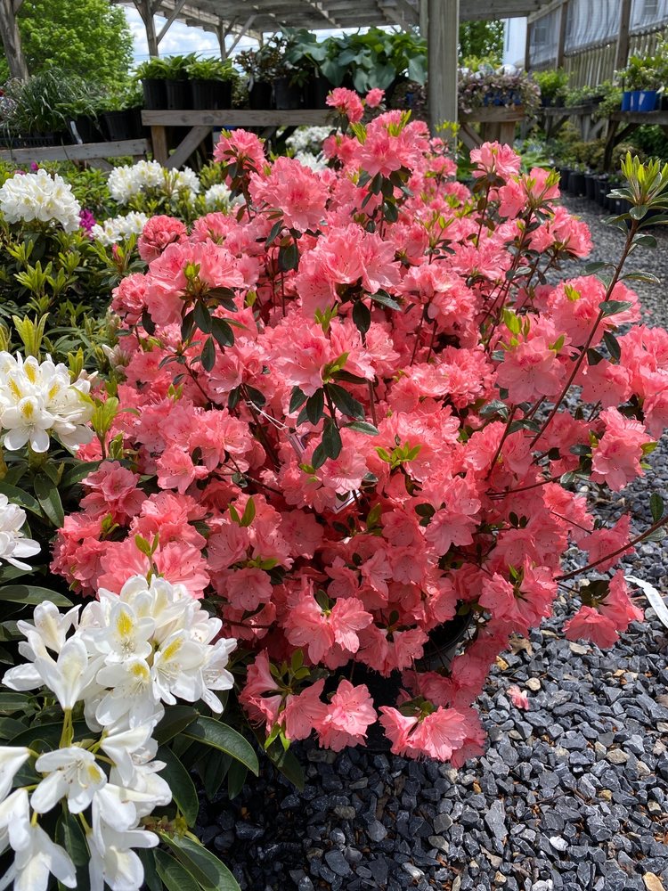 READING LANDSCAPES Updated September 2024 29 Photos 2371 N