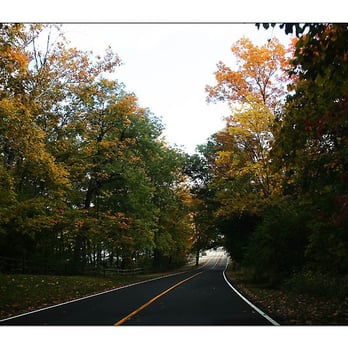 Sharon Woods Park - Road in Park - Parks Near Me - Sharonville, Ohio