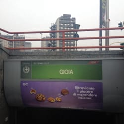 Gioia M2